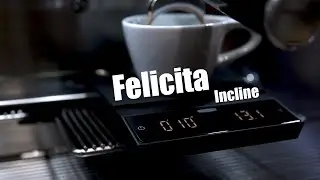 Обзор на весы Felicita Incline