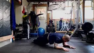 Low Plank Rotational Hip Drops