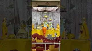 #shorts radha govind dev ji mandir live darshan | govind dev ji daily darshan | radhe radhe |krishna