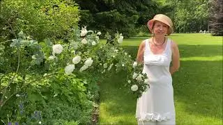 4. Rosa Alba. Spaziergänge über den Rosenhügel im Park von Schloss Eggenberg