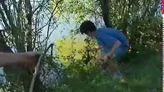 grenouille taureau Histoires Naturelles aussi grosse que... bullfrog Ouaouaron hunting eats
