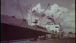 Pensacola Panorama (1960s)