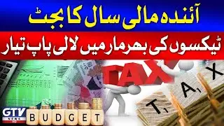 Budget 2024-25 | Shehbaz Government Big Decisions | Big News For People | Breaking News