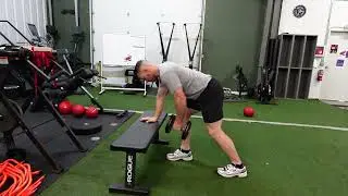 Single Arm Dumbbell Row