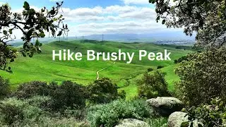Hiking Brushy Peak East Bay Regional Park in Livermore, CA.