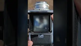 The 
