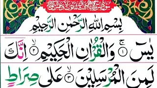 Surah Yaseen (Al Rahman) | By Hafiz Abubakar| Heart Soothing voice  | Yaseen Full Surah [Ep 876]