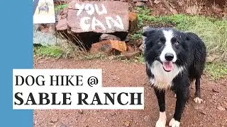 SABLE RANCH HIKING TRAIL | dog friendly hike