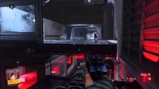 Call of duty carrier glitch with dogs