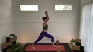45 minute Tapas Self Discipline Power Yoga Asana Practice and Meditation