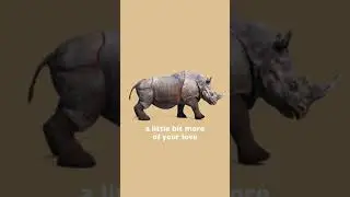 AmPm / Little Bit More feat.Ayden (Vertical Video)