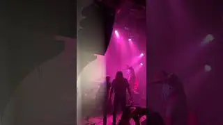 the armed -   liar - Hamburg