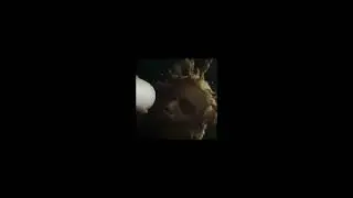 Playboi Carti - Pop Our Pills (feat. Lil Yachty)