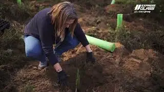 Express Glass (Portugal) Plant a Tree initiative