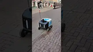 CUTE DELIVERY ROBOTS IN MOSCOW. МИЛЫЕ РОБОТЫ-ДОСТАВЩИКИ НА УЛИЦЕ АРБАТ В МОСКВЕ.