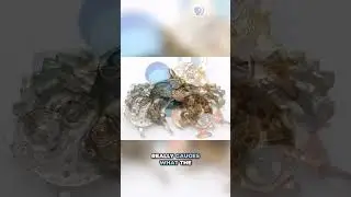 Transforming Watch Parts into Unique Jewelry Designs: Jewelry Inspiration