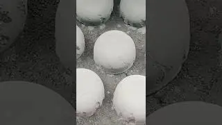 Pure cement smashing over damp texture🤤ASMR #asmr #cementasmr #cementcrumble