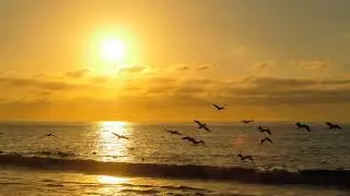 Waves on the beach, Pacific coast (1 hour sound)