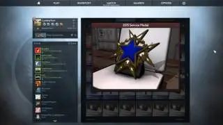 CS:GO - Service Medal 2015