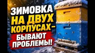 Зимовка на двух корпусах, бывают проблемы.