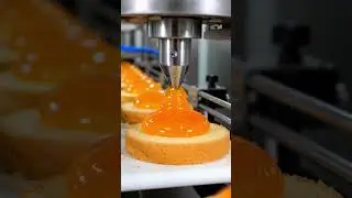 How Jaffa Cakes Are Made &ndash; Full Factory Process From Batter to Chocolate Coating