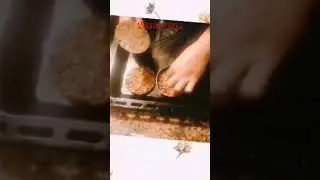 دوائر الطاقة الطاقة الصباحية 2 #cercles d'&eacute;nergie