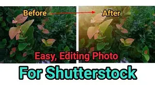 Tips Edit Foto Agar diterima di Microstock Shutterstock. (Aplikasi Lens Distortions)