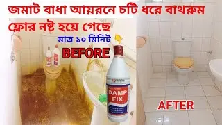 Toilet Iron Stain & Hard Water Damage Fix | জমাট বাঁধা আয়রনের দাগ ১০ মিনিটে পরিষ্কার #home #diy 