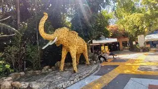 Elephant Show 