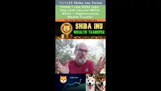 Видение передачи богатства сиба-ину &mdash; финальная позиция с пастором Джоном 1 ноября 2023 г.