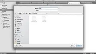 Synapseindia php development PayPal Payments with PHP Starting Process