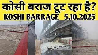 क्या बिहार फिर से डूबने को है तैयार ||  Koshi Barrage का लेटेस्ट Video||#koshibarragenepal 