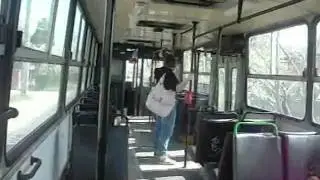 Budapest Bus Ikarus 260 - BPI-530 Buster