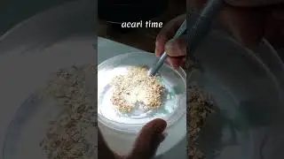 учимся делать препараты с энтомофагами 🔬 #acari #энтомология #наука
