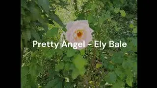 Pretty Angel - Ely Bale (Oficial)
