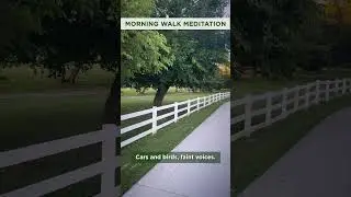 Mindful Reset: Morning Walk Meditation
