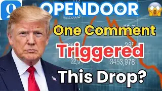 OpenDoor Stock Analysis: How One Comment Led to Institutional Selling and an 11% Drop OPENDOOR STOCK