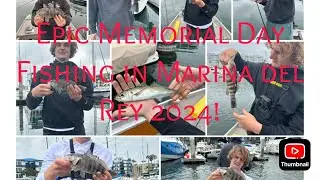 Epic Memorial Day Fishing in Marina Del Rey 2024!