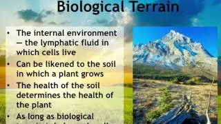 Understanding Health Thru Biological Terrain