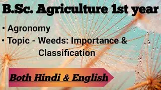 Weeds: Importance & classification | Agronomy | B.Sc. Agri. 1st year | Explained in Both & English
