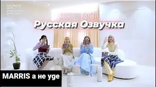 (рус.озвучка) BLACKPINK 2022 ПРИВЕТСТВЕННАЯ КОЛЛЕКЦИЯ ПРЕВЬЮ (Welcoming collection preview)