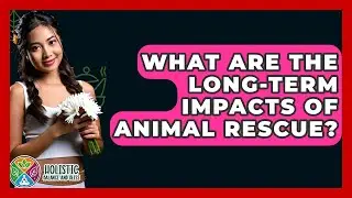 What Are The Long-term Impacts Of Animal Rescue? - Holistic Balance And Bliss