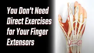 You Don't Need Direct Exercises for Your Finger Extensors