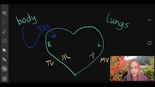 Blood Flow of the Heart - Simplified!