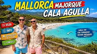 Mallorca, cosas para ver, hacer o visitar Playa Agulla Cala Ratjada Gu&iacute;a de Mallorca