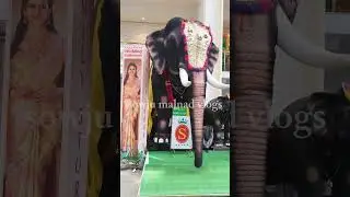 elephant real or fake? ಇದು ನಿಜವಾದ ಆನೆನಾ? #elephant #toys #malleshwaram #trending #viral