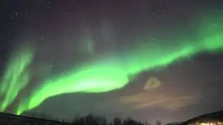Raised by wolves(Aurora in Finland,Norway,Sweden)