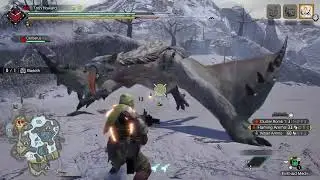 Monster Hunter Rise_Light bow gun vs. Barioth (MP)(HR) capture