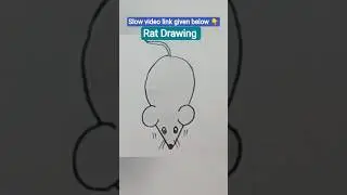 Rat easy drawing  || How to Draw a Rat step by step || Simple Rat Drawing Colouring