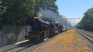 *ENORM HARDE STOOMFLUIT!* VSM 23-071 & 23-076 komen met de Westfalendampf Sonderzug langs Wolfheze!